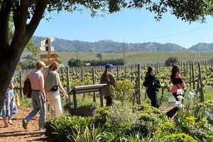 Valparaíso nach Casablanca: Weintour mit Premium-Verkostung und Transport