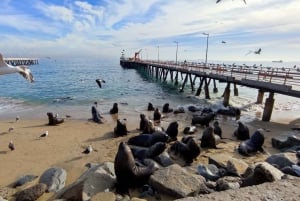 Santiago: Valparaíso-vandring og vinprovning i Casablanca