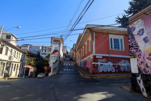 Santiago: Valparaíso Walking Tour & Casablanca Wine Tasting