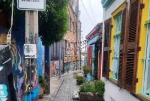 Valparaiso: Tour,elevator,open sky gallery,historical Center