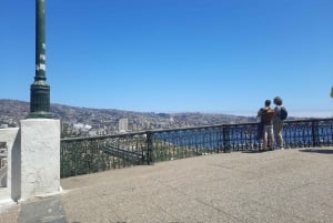 Valparaiso: Tour,ascensore,galleria a cielo aperto,centro storico