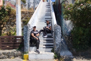 Valparaiso: tour, ascensore, galleria a cielo aperto, centro storico