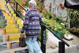 Valparaíso: tour, ascensor, galería a cielo abierto, centro histórico.
