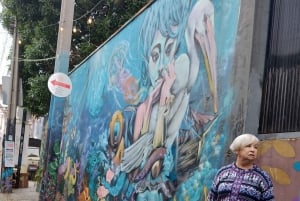 Valparaíso: tour, ascensor, galería a cielo abierto, centro histórico.