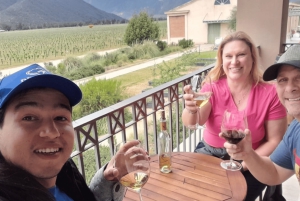 Heldagsopplevelse med Valparaíso, Viña del Mar og Casablanca