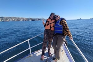 Valparaíso i Viña del Mar: odkrywaj, odkrywaj i żegluj