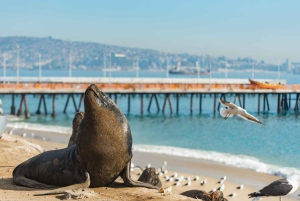 Valparaíso i Viña del Mar: odkrywaj, odkrywaj i żegluj