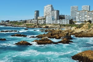 Valparaíso e Vina del Mar para passageiros de cruzeiros em privado