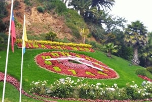 Valparaíso e Vina del Mar para passageiros de cruzeiros em privado