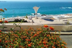 Valparaíso e Vina del Mar para passageiros de cruzeiros em privado