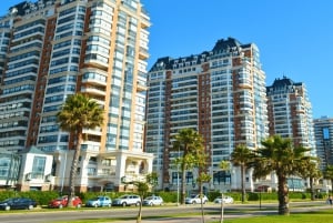 Valparaíso e Vina del Mar para passageiros de cruzeiros em privado