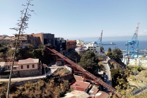 Valparaíso & Viña del Mar: Heldagstur