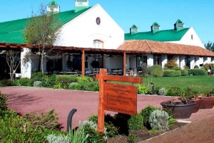 What to do in National Holidays in Chile