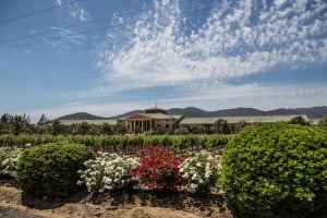 Veramonte Organic Vineyards