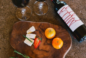 Visita a la Bodega VIK con Cata de Vinos y Almuerzo desde Santiago