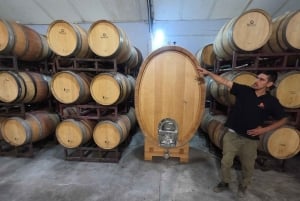 Viña Besoain: Private Tour with Premium Wine Tasting