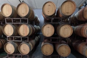 Viña Besoain: Private Tour with Premium Wine Tasting