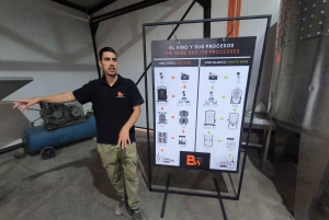 Viña Besoain: Private Tour with Premium Wine Tasting