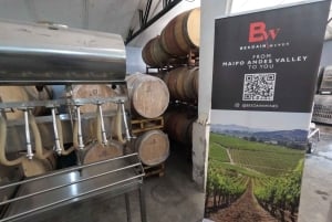 Viña Besoain: Private Tour with Premium Wine Tasting