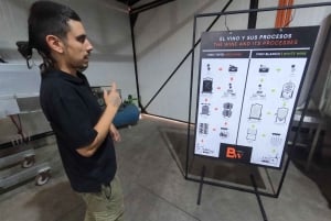 Viña Besoain: Private Tour with Premium Wine Tasting