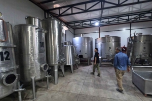 Viña Besoain: Private Tour with Premium Wine Tasting