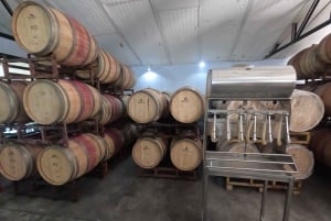 Viña Besoain: Private Tour with Premium Wine Tasting