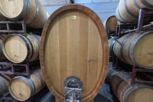 Viña Besoain: Private Tour with Premium Wine Tasting