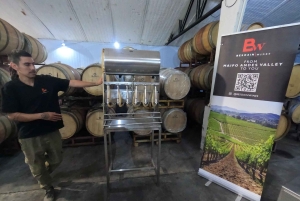 Viña Besoain: Private Tour with Premium Wine Tasting