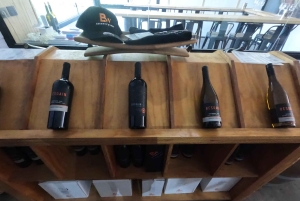 Viña Besoain: Private Tour with Premium Wine Tasting