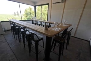 Viña Besoain: Private Tour with Premium Wine Tasting