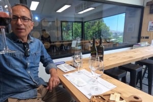 Viña Besoain: Private Tour with Premium Wine Tasting