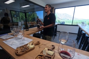 Viña Besoain: Private Tour with Premium Wine Tasting