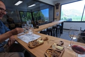 Viña Besoain: Private Tour with Premium Wine Tasting