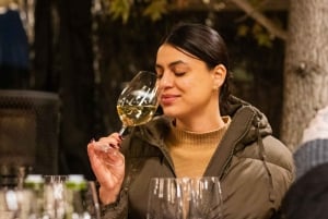 Noite na Viña Concha y Toro: Jantar Show