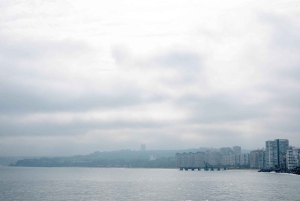 Viña del Mar et Valparaiso : visite guidée d'une journée