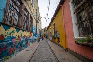 Viña del Mar et Valparaiso : visite guidée d'une journée