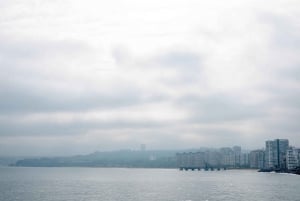 TUR TIL VIÑA DEL MAR OG VALPARAISO