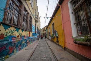 TUR TIL VIÑA DEL MAR OG VALPARAISO