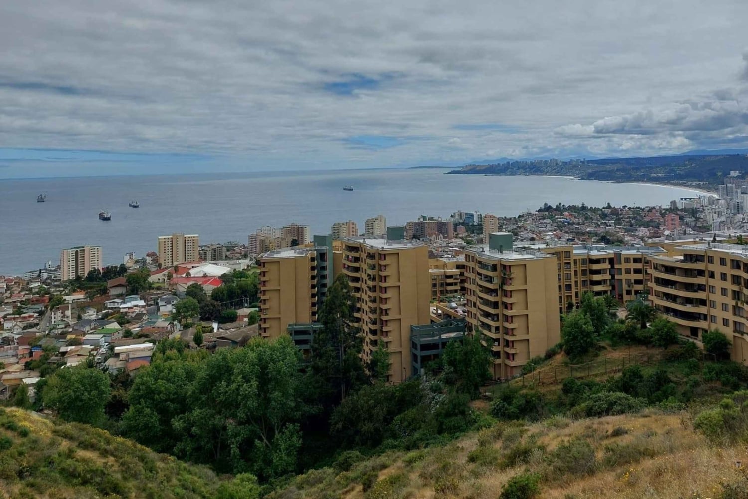 Viña del Mar: wycieczka autem z odbiorem, lokalnym przewodnikiem i kultowymi punktami widokowymi