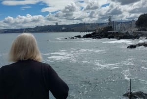 Viña del Mar: wycieczka autem z odbiorem, lokalnym przewodnikiem i kultowymi punktami widokowymi