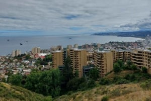 Viña del Mar: wycieczka autem z odbiorem, lokalnym przewodnikiem i kultowymi punktami widokowymi