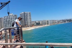 Viña del Mar: wycieczka autem z odbiorem, lokalnym przewodnikiem i kultowymi punktami widokowymi