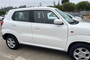 Viña del Mar: wycieczka autem z odbiorem, lokalnym przewodnikiem i kultowymi punktami widokowymi