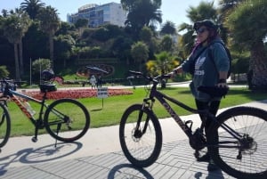 Viña del Mar: Coastal Bike Tour