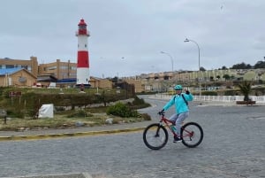 Viña del Mar: Wycieczka rowerowa wzdłuż wybrzeża