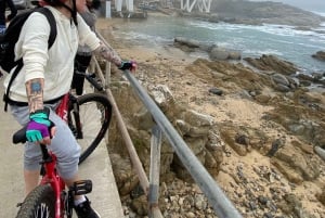 Viña del Mar: Sykkeltur langs kysten