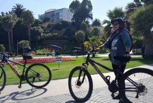Viña del Mar: Sykkeltur langs kysten