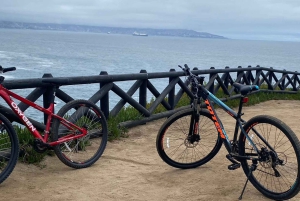 Viña del Mar: Sykkeltur langs kysten
