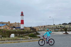 Viña del Mar: Sykkeltur langs kysten