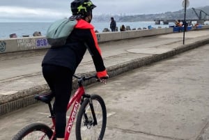 Viña del Mar: Sykkeltur langs kysten